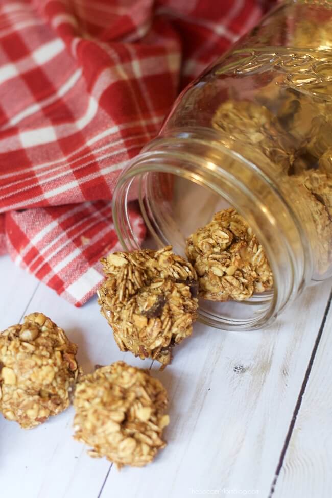 These chocolate peanut butter protein balls are pure genius!! Kid-approved, high-protein, whole grains, gluten free, and EASY to make! (Only 3 ingredients!)