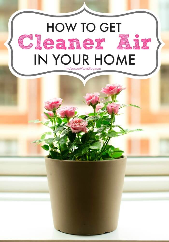 9 surprisingly simple ways to improve indoor air quality in your house during allergy season.