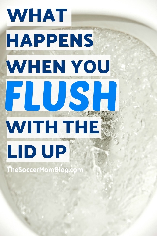 Should you flush the toilet with the lid closed? What research says about the so-called toilet plume and if it's actually something to worry about.