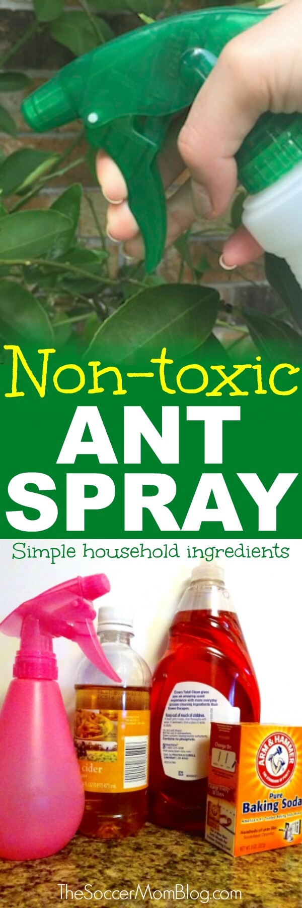 Forget harsh chemicals! This DIY natural ant killer is safe, easy, cheap, and IT WORKS! Safe for use around children and pets.