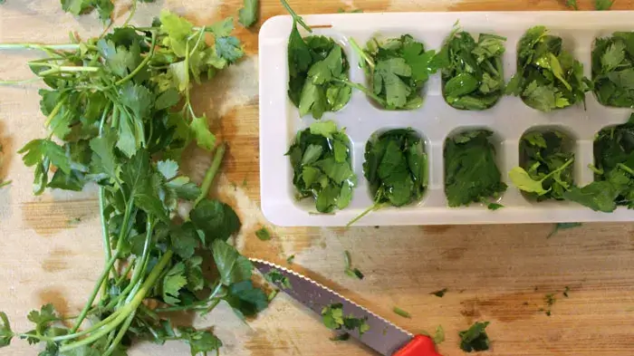 freezing cilantro in ice cube trays